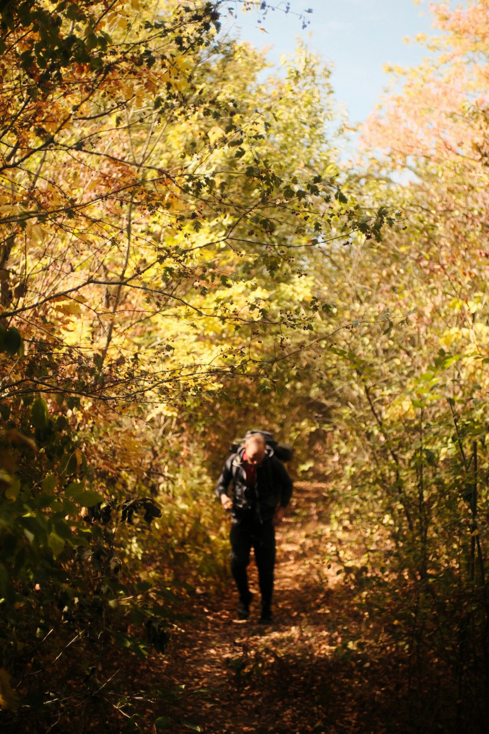 a man with a backpack walking through a forest
